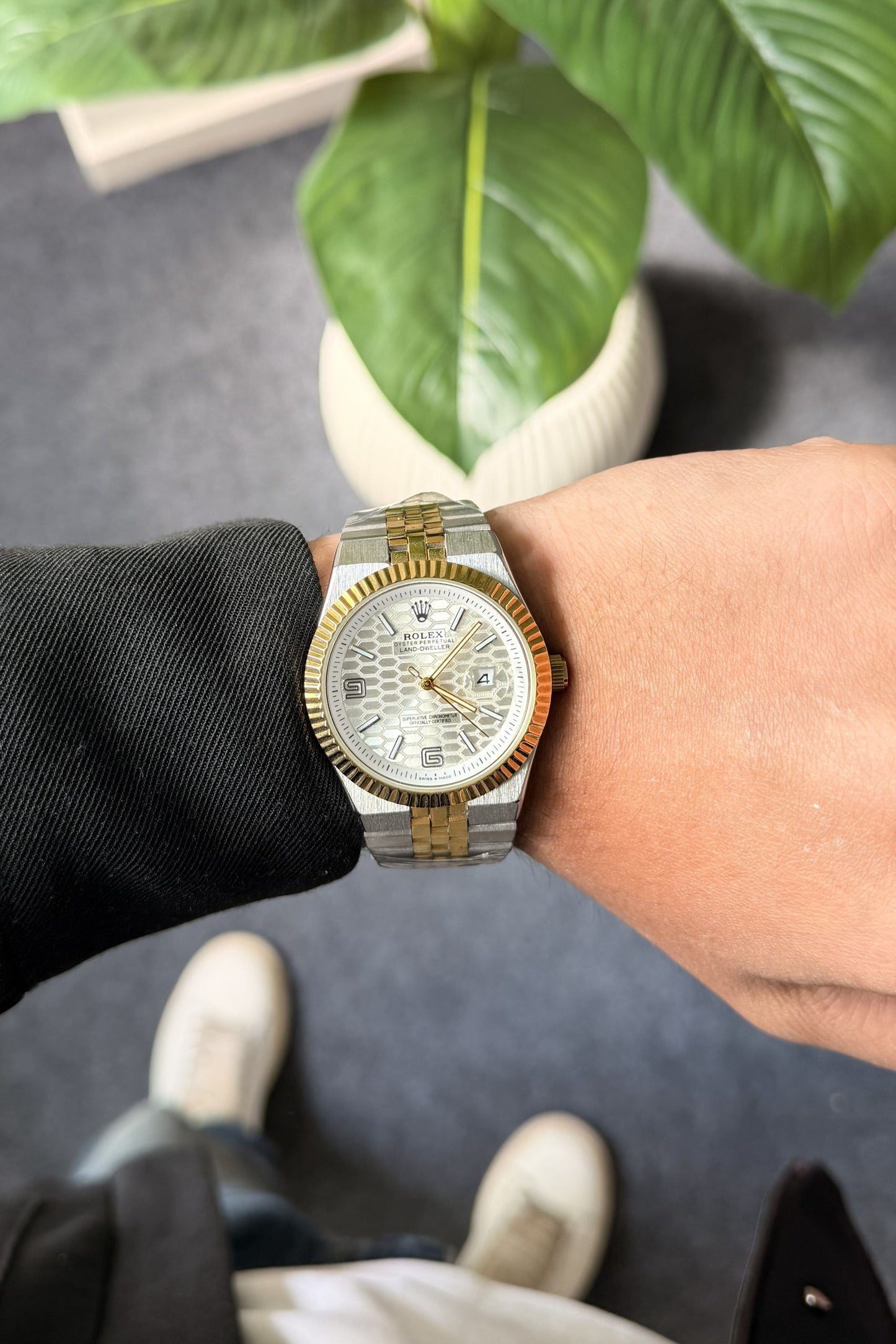 Rolex Land Dwellers